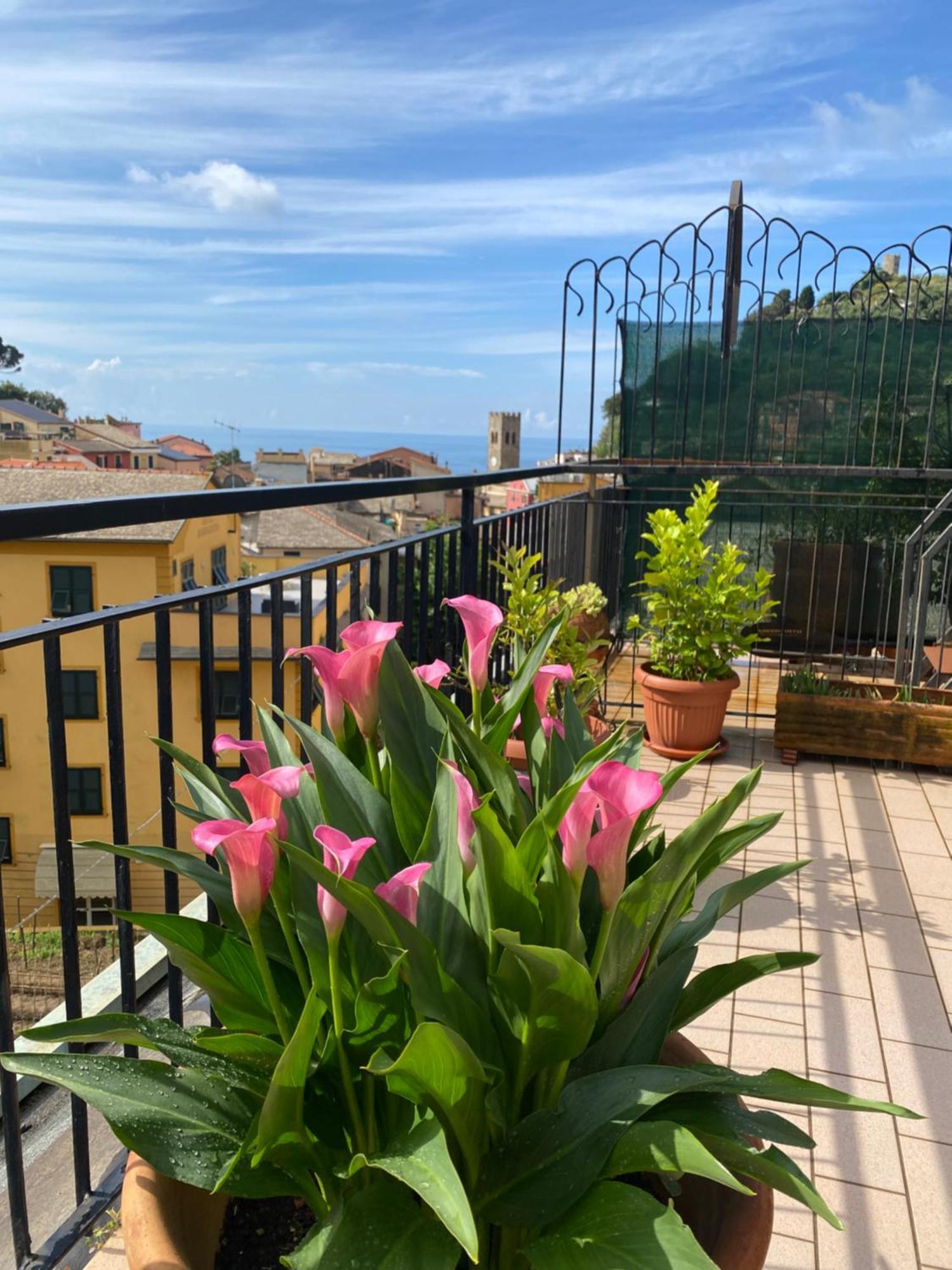 Appartamento La Terrazza Di Monterosso Monterosso al Mare Esterno foto