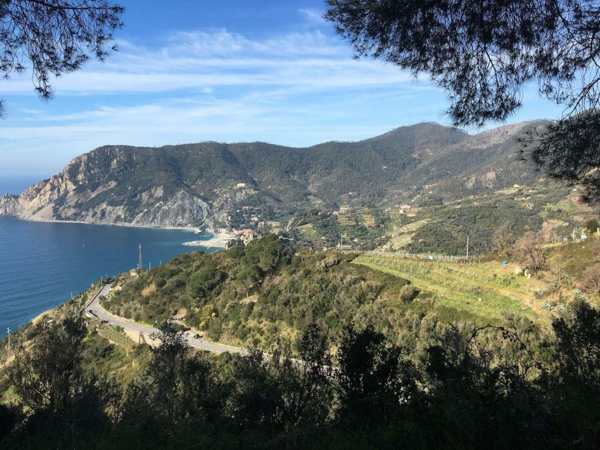 Appartamento La Terrazza Di Monterosso Monterosso al Mare Esterno foto