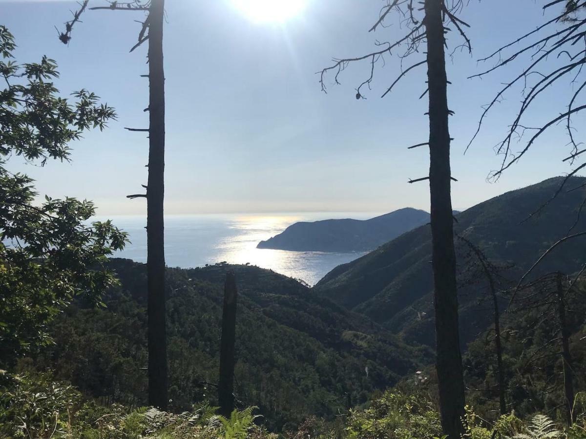 Appartamento La Terrazza Di Monterosso Monterosso al Mare Esterno foto